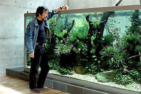 Takashi Amano, Amazing Aquariums, Fish Tank Design, Aquascape Design, Aquarium Terrarium, Aquarium Setup, Tropical Aquarium, Nature Aquarium, Aquascape Aquarium