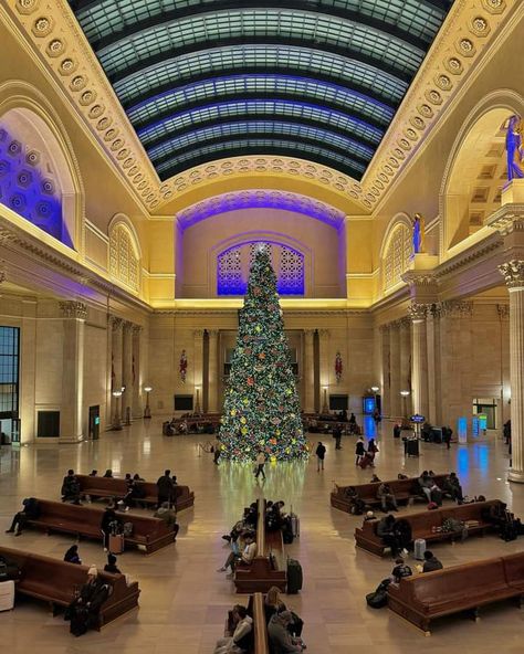 Christmas tree at Union station Chicago Union Station Chicago, Chicago Union Station, Chicago City, Union Station, Windy City, City Girl, Best Cities, Chicago, Christmas Tree