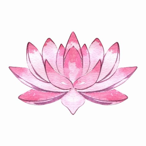 Flor de loto rosa acuarela | Premium Vector #Freepik #vector #lirio #flor-lirio #rosa #decoracion-flores Happy New Year Calligraphy, Watercolor Templates, Lotus Flower Drawing, Lotus Drawing, Cute Flower Drawing, Tears Art, Lotus Flower Art, Watercolor Elements, Lotus Art