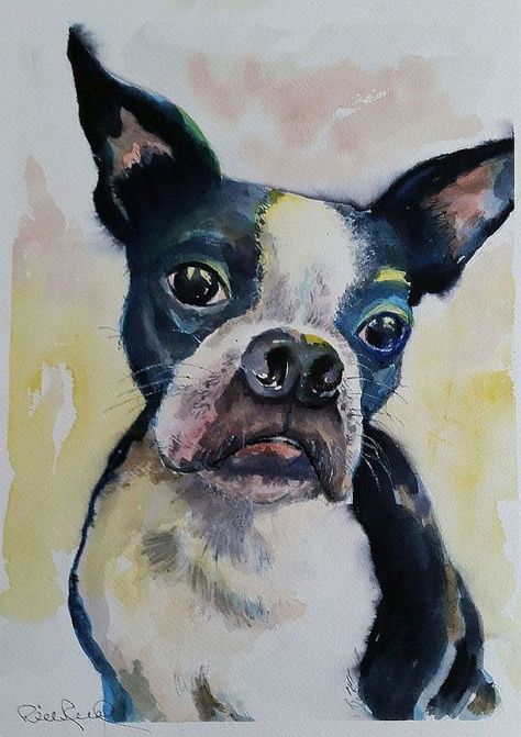 Pet Portait  original watercolor painting of your by BillsArtShop Paintings Realism, Boston Terrier Painting, Photorealism Painting, Boston Terrier Art, Dog Hero, Contemporary Realism, Portraits Art, Animal Portraits Art, Animal Portraits