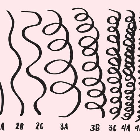 How to Figure Out Your Curly Hair Type and Why It Actually Helps Black Hair Types Texture, Type 4 Hair Curl Pattern, Render Curly Hair, Types Of Black Hair, Curl Pattern Chart, Curl Type Chart, Types Of Curly Hair, 3b Curly Hair, Type Chart