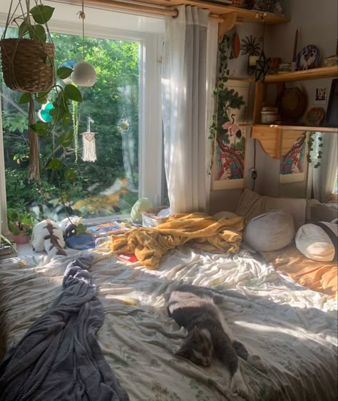 Aesthetic bedroom with cat and plants everywhere! Bedroom Ideas With Cats, Comfy Beds Cozy, Cat In Bedroom, Beach Aesthetic Room Ideas, Bedroom With Cat, Therian Bedroom, Big Couches, Comfy Bed Aesthetic, Cat In Bed