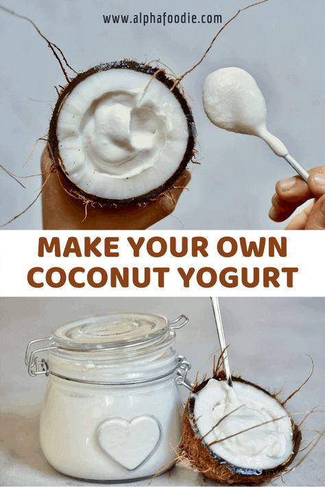 Dairy-Free Coconut Yogurt Coconut Yogurt Recipe, Homemade Coconut Yogurt, Yogurt Brands, Coconut Milk Yogurt, Yogurt Recipe, Coconut Desserts, Low Carb Snack, Dairy Free Yogurt, Yogurt Maker