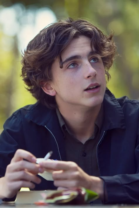 Timothee Chalamet, Hair, Black