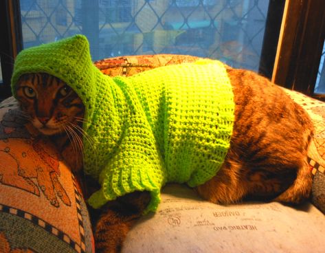 Cat Sweater Pattern, Dog Sweater Crochet Pattern, Crochet Cat Hat, Crochet Hoodie, Crochet Dog Sweater, Kitty Clothes, Diy Sweater, Sweater Ideas, Knit Dog Sweater