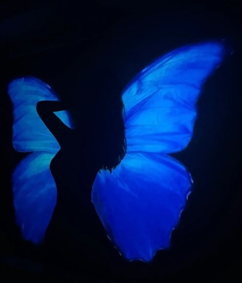 A Butterfly, Blue Butterfly, In The Dark, See More, Instagram Photos, Blue, Instagram