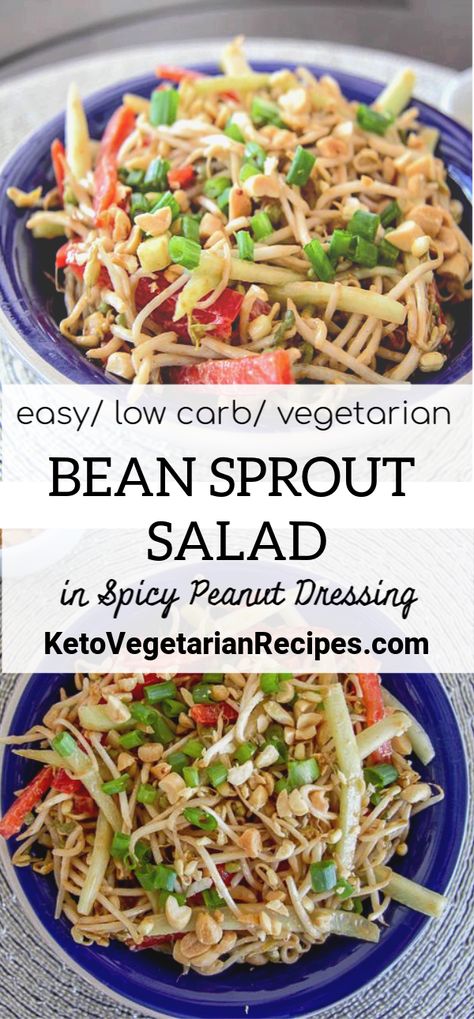 Bean Sprout Salad Recipes, Spicy Peanut Dressing, Keto Eggplant, Bean Sprout Recipes, Bean Sprout Salad, Seed Granola, Butter Dressing, Eggplant Meatballs, Sprouts Recipes