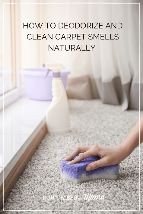 Carpet Odor Remover Diy, How To Make Carpet Smell Good, How To Deodorize Carpet, Deodorize Carpet, Homemade Carpet Deodorizer, Non Toxic Carpet Deodorizer, Borax Carpet Deodorizer, Deorderizer Carpet, Smelly Carpet