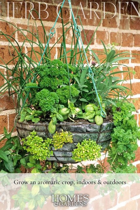 Don't overlook the vertical plane when planning your herb garden – hanging baskets can make an enticing, fragrant addition to the garden. Hanging Plant Baskets Outdoor, Hanging Basket Combinations, Herbs Balcony, Best Herb Garden, Diy Hanging Baskets, Diy Hanging Herb Garden, Hydroponic Herb Garden, Herb Garden Ideas, Deck Balcony