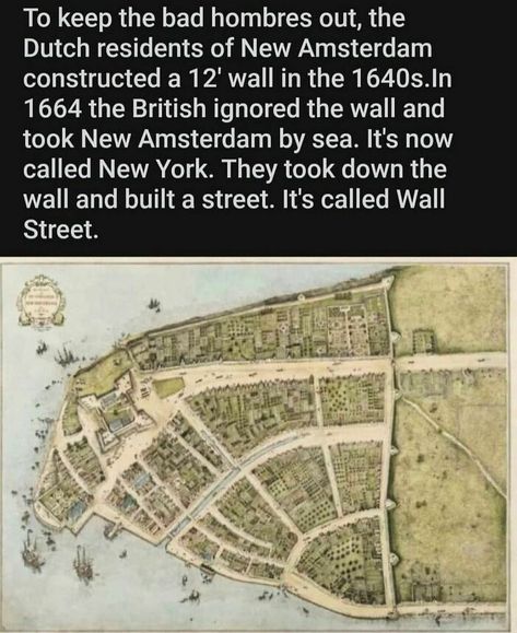 The More You Know False Facts, City By The Sea, New Amsterdam, Interesting History, Historical Facts, History Lessons, The More You Know, History Facts, World History