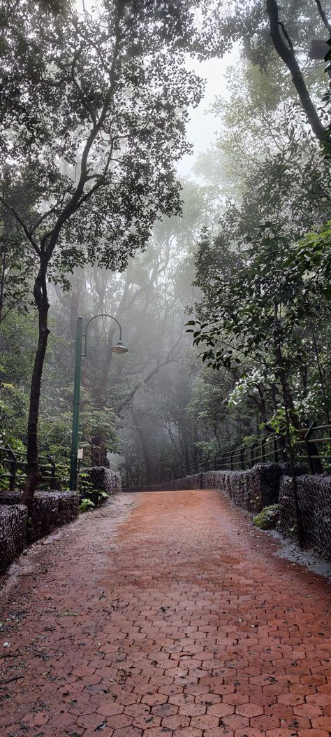 Monsoon Wallpaper Rain, India Rain Aesthetic, Nature Aesthetic Indian, Matheran Hill Station Photography, Coorg Snap, Indian Monsoon Aesthetic, Matheran Snap, Indian Rain Aesthetic, Matheran Photography