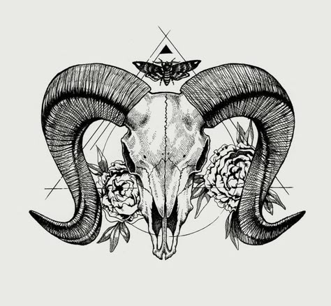 Animal Skull Tattoo, Animal Skull Drawing, 천사와 악마, Ram Tattoo, Skull Art Print, Goat Skull, Aries Tattoo, Ram Skull, Animal Skull