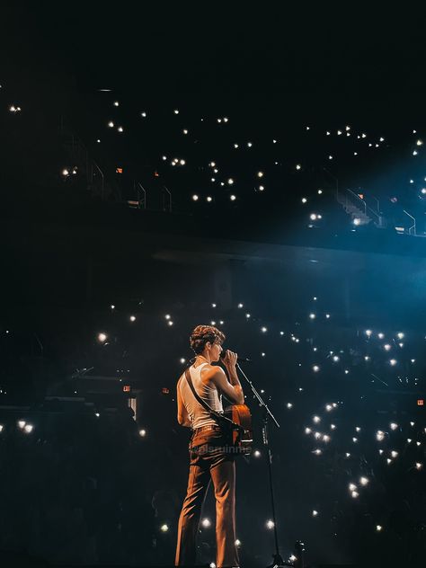 Shawn Mendes Performing, Shawn Mendes Shows, Brown Eye Boys, Shawn Mendes Tour, Shawn Mendes Concert, Shawn Mendes Wallpaper, Canadian Boys, Live Concert, Shawn Mendes