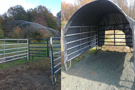 DIY Affordable Horse Shelter - COWGIRL Magazine Diy Shelter For Horses, Horse Shelters Diy, Cattle Panel Shelter, Diy Mini Horse Shelter, Quick Horse Shelter, Cow Shelter Ideas Cheap, Easy Diy Horse Shelter, Portable Horse Shelter, Diy Pony Shelter