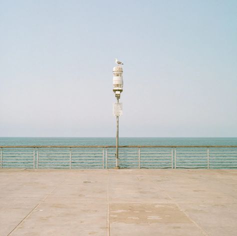 Accidental Wes Anderson, Hermosa Beach Pier, Iphone Spotify, Accidentally Wes Anderson, Wes Anderson Aesthetic, Anderson Aesthetic, Wes Anderson Style, Beach Pier, Hermosa Beach