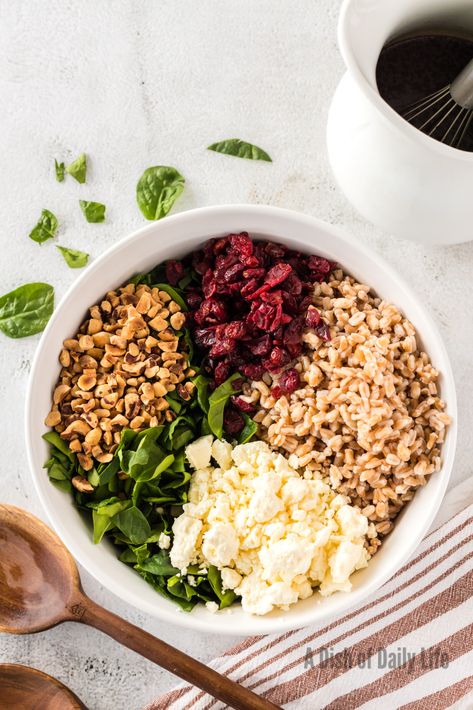 This easy Farro Salad Recipe with spinach, cranberries and feta, topped with balsamic dressing, is a delicious any time of year! #farrosalad #farrosaladrecipe #farrosaladwithfeta #besteverfarrosalad #fallfarrosalad #farrosaladwithfetaandcranberries #spinachfarrosalad #spinachandfarrosalad #farrocranberrysalad #adishofdailylife #dishofdailylife Faro Salad, Farro Bowls, Farro Salad Recipes, Recipe With Spinach, Salad With Spinach, High Antioxidant Foods, Cranberry Salad, Farro Salad, Grilled Tofu