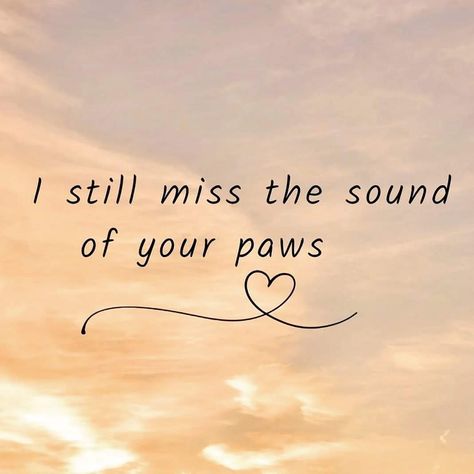 Lost Cat Tattoo, Lost Dog Tattoo, Losing A Pet Quotes, Miss My Dog, Dog Quotes Love, Heaven Quotes, Dog Heaven, Pet Remembrance, Memorial Tattoo