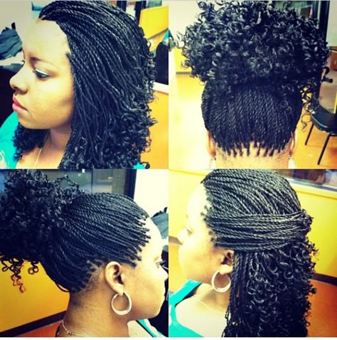 Senegalese twists braids with curls at the end Havana Twist Hairstyles, Micro Braids Hairstyles, Trendy We Fryzurach, Faux Loc, Senegalese Twist Hairstyles, Senegalese Twist Braids, Colorful Hairstyles, Twisted Hair, Curly Braids