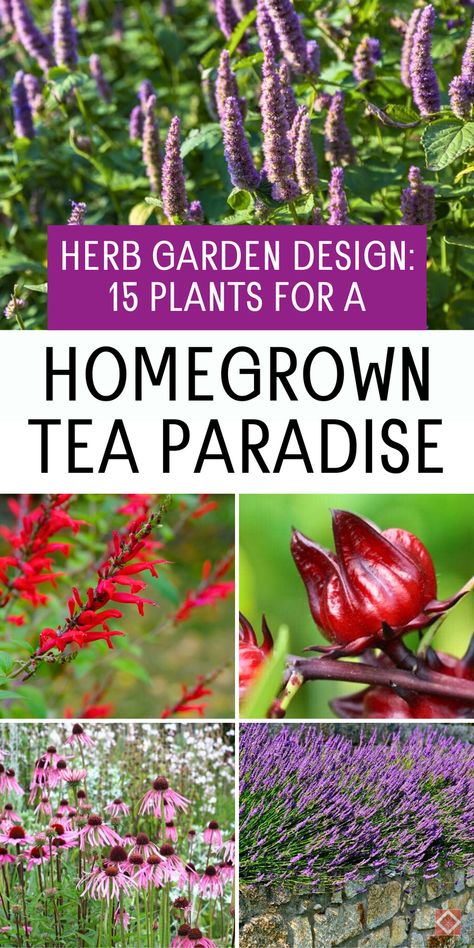 Grow your own herbal teas with these 15 plants perfect for a homegrown tea garden! Ideal for beginners and experienced gardeners, these herbs will add beauty and flavor to your garden. Learn how to use mint, chamomile, and more for your own herbal tea blends. Save this pin for your tea garden setup! Diy Tea Garden, Growing Tea Plants At Home, Plant Ideas Outdoor, Herbal Garden Design, Tea Garden Plants, Indoor Garden Design, Garden Setup, Tea Gardens, Nigerian Recipes