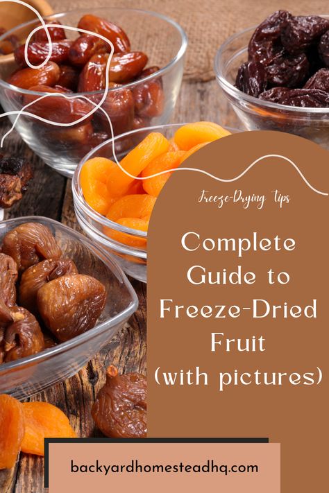 Recipes Using Freeze Dried Fruit, Freeze Dry Recipes, Freeze Drying Apples, Freeze Dried Fruit Powder Recipes, Freeze Dried Apples, Freeze Dried Peaches, Diy Freeze Dried Fruit, Freeze Dried Plums, How To Use Freeze Dried Fruit