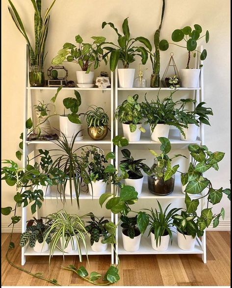 Masetas Aesthetic, Konmari Checklist, Bedroom Plants Decor, Plant Goals, Lovely Photo, Inside Plants, Plants Decor, Thanks A Lot, Plant Decor Indoor