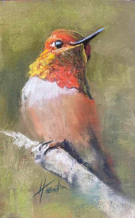 Bird Collection — Amanda Houston Anna Hummingbird, Amanda Houston, Sky And Water, Soft Pastels Drawing, Soft Pastel Art, Pastel Artwork, Pastel Sec, Oil Pastel Paintings, Pastel Paintings