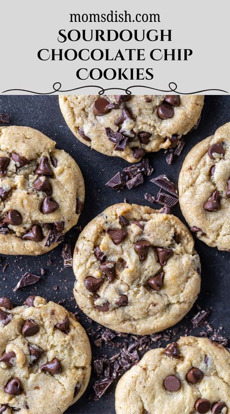 Made with nutty browned butter, sourdough discard, and gooey chocolate chips, these sourdough chocolate chip cookies are a dream come true. The flavor is unmatched! Chocolate Chip Sourdough, Sourdough Chocolate Chip Cookies, Sourdough Cookies, Sourdough Pizza Crust, Sourdough Pizza, Cookie Dough Balls, Browned Butter, Sourdough Discard, Meringue Cookies