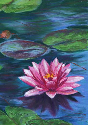 Water Lily by Eileen France Pastel ~ 11 x 8 Oil Pastel Lily Pads, Portfolio Painting Ideas, Paintings Of Water Lilies, Lotus Flower Oil Pastel, Waterlily Painting Acrylic, Water Lily Oil Pastel, Water Lily Painting Acrylic Easy, Water Lily Acrylic Painting, Lotus Oil Pastel