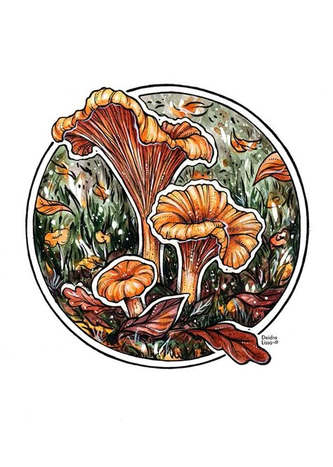 Chanterelle (art by Deidra Lissa) Chantrell Mushrooms Drawing, Mushroom Wreath Drawing, Chanterelle Illustration, Chanterelle Mushroom Tattoo, Chanterelle Drawing, Chanterelle Tattoo, Mushroom Photo, Fungi Illustration, Mushroom Designs