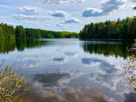 Buckingham Reservoir Trail at Case Mountain Park highlights everything we love about Connecticut without tying up your whole day. Natural Waterfalls, Wooded Landscaping, Cambodia Travel, Water Drawing, Mountain Park, Beautiful Shorts, Best Hikes, Green Trees, Mirror Image