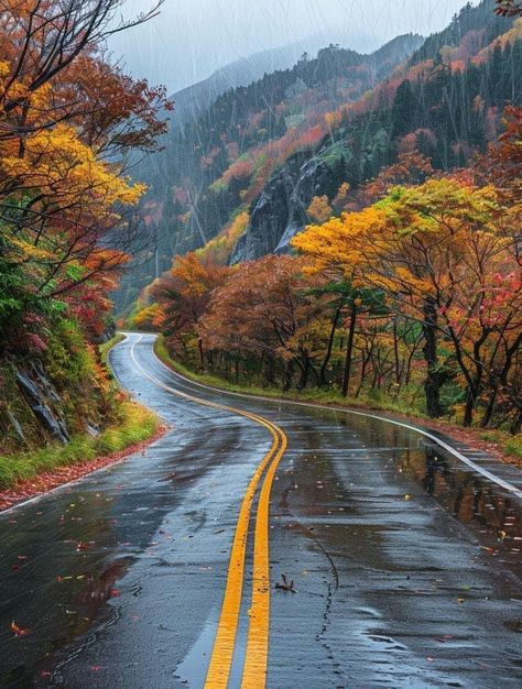 West Virginia Mountains, Allegheny Mountains, Virginia Fall, Mountain Aesthetic, Blowin' In The Wind, Mesa Verde National Park, Virginia Travel, Beautiful Roads, Scenic Byway