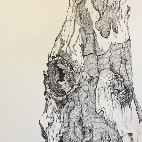 Tree Bark Drawing, Bark Drawing, Oak Tree Bark, Tree Bark Texture, Tree Drawings Pencil, Drawing Realistic, Art Alevel, Tree Textures, Nature Sketch