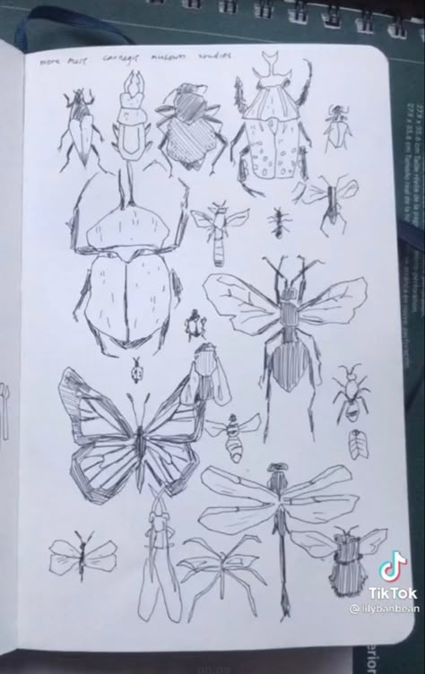 Sketch Book Ideas Doodles Art Journals, Cute Doodle Tutorial, Small Sketch Book Ideas, Bugs Drawing Sketches, Cute Bug Drawing, Insect Sketches, Bug Doodles, Draw Insects, Insect Drawings