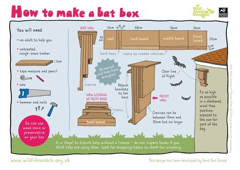 BioSol Ecology on Twitter: "Great #WeekendFun family idea to make a bat box to encourage #bats to roost in your garden next year. #WildAboutGardens https://t.co/9kli1FBiqM" Bat Box Plans, Build A Bat House, Bat Box, Forest School Activities, Bat House, Insect Hotel, Bird House Plans, Box Building, Garden Animals