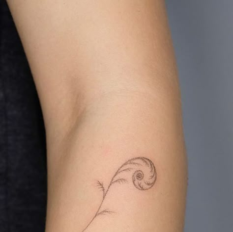 Curled Fern Tattoo, Koru Tattoo Maori, Fern Spiral Tattoo, Koru Tattoo Design, Nz Flower Tattoo, Tiny Fern Tattoo, Koru Tattoo Woman, Koru Fern Tattoo, Fern Stick And Poke