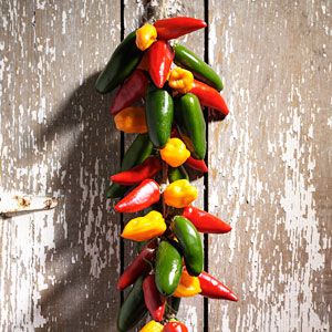 Dry Chili Peppers, Chili Ristra, Can Vegetables, Can Tomatoes, Chili Pepper Recipes, Aphrodisiac Foods, Southwestern Recipes, Fruit Plus, Dried Chili Peppers