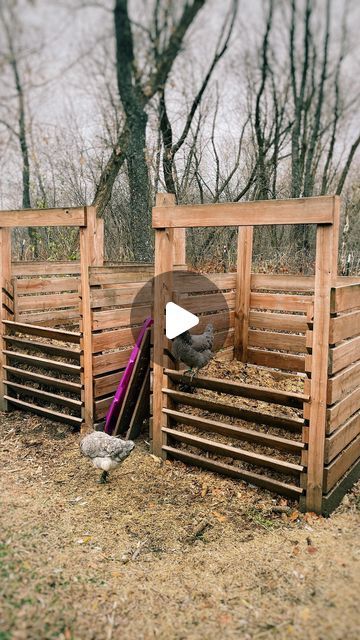 Katie Krejci, RD | The Homesteading RD on Instagram: "My compost bins are one of the most asked-about things on our homestead!  This is probably the most complicated design that you could go for when it comes to compost bins, but they work SUPER well!   I love that the slatted design in front keeps the pile neat while allowing for good airflow. Plus, it’s easy to pull the finished compost out by removing all of the front boards.  What you’ll need: -4 4x4 posts that are 8’ long (bury in the ground 2’) -16 5/4th decking boards that are 8’ long (chop all of them in half) -2 2x4 boards that are 8’ long (cut one in half to use as the top brace, then chop the rest into the angled bracings to hold the front slat boards  The most challenging part is deciding what type of wood you want to use for t Composting With Chickens, Compost Sifter Diy, Compost Bin Ideas, Wooden Compost Bin, Outdoor Compost Bin, Composting 101, Allotment Ideas, Compost Bin Diy, Compost Bins