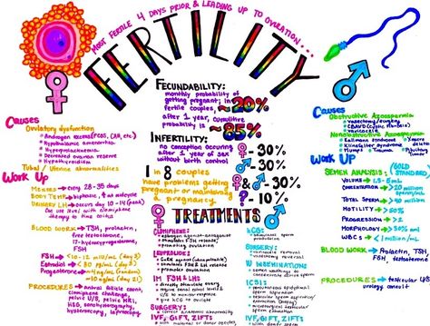 hanson's anatomy : Photo Hansons Anatomy, Obgyn Notes, Anatomy Medical Notes, Med School Notes, Cna School, Midwifery Student, Student Midwife, Nurse Study, Medical Notes