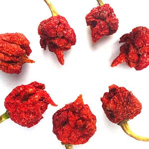 Bag of Dried Scorpion Peppers Red Scorpion, Trinidad Scorpion, Office Food, Sauce For Rice, Sea Vegetables, Olive Relish, Meat Snacks, Coffee Flower, Fruit Jelly