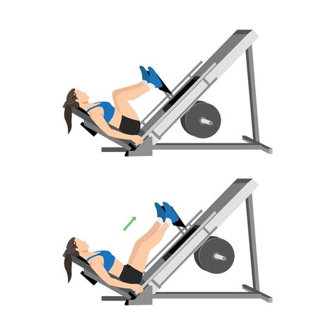 Hip Extension Exercise, Leg Press Workout, People Illustrations, Technology Projects, Vector People, Squat Workout, Flat Vector Illustration, Leg Lifts, Leg Press