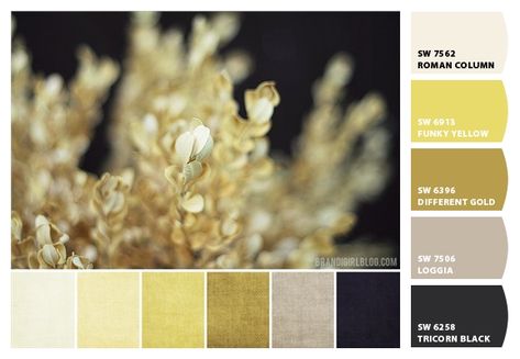 Paint colors from Chip It! by Sherwin-Williams Dining Room Color Palette, Gold Color Palettes, Gold Color Scheme, Dining Room Colors, Black Gold Jewelry, Room Color Schemes, Color Palate, Bedroom Colors, Colour Schemes