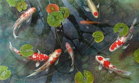 Terry Gilecki, Tattoo Koi, Etching Ideas, Butterfly Koi, Koi Painting, Koi Art, Carpe Koi, Japanese Koi, Koi Carp