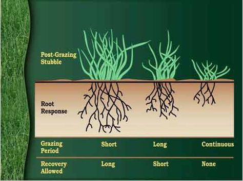 Pasture/Range Management - Extension / NRCS - Small Acreage ManagementExtension / NRCS – Small Acreage Management Rotational Grazing, Pasture Management, Soil Erosion, Farm Plans, Homestead Farm, Farm Layout, Future Farms, Ranch Farm, Colorado State University