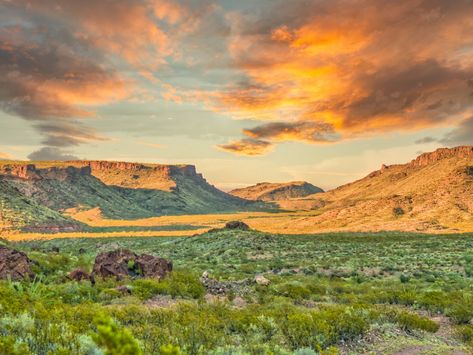 Coal Mine Ranch :: West Texas | Hidden away amongst the rugg… | Flickr West Texas Landscape, Montana Landscape, Southern New Mexico, Texas Landscape, Books Of The Year, Republic Of Texas, Dirt Roads, Texas Photography, Book Festival