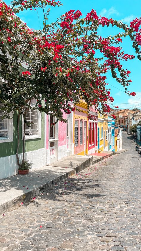 Olinda, cudade historica e fofa 💚 #placestovisit #placestotravel #pernambuco Brazil Aesthetic Wallpaper, Brasil Aesthetic, Brazil Travel Photography, Brasilian Vibes Aesthetic, Brazil Streets Aesthetic, Brazil Culture, Brazil Neighborhood, Pretty Places, Cali