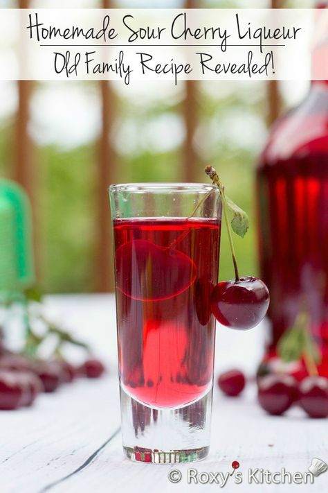 Sour Cherry Recipes, Homemade Liqueur Recipes, Cherry Drink, Homemade Alcohol, Homemade Liquor, Liquor Recipes, Cherry Liqueur, Liqueurs Recipes, Homemade Wine