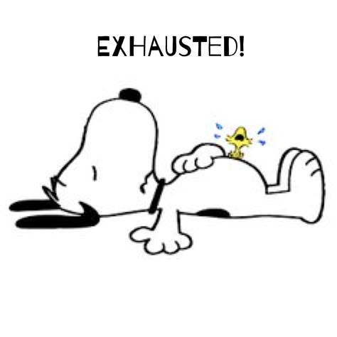 Snoopy Exhausted, Tired Snoopy, Goodnight Snoopy, Charlie Brown Quotes, Snoopy Dance, Snoopy Comics, Snoopy Cartoon, Snoopy Funny, Snoopy Images