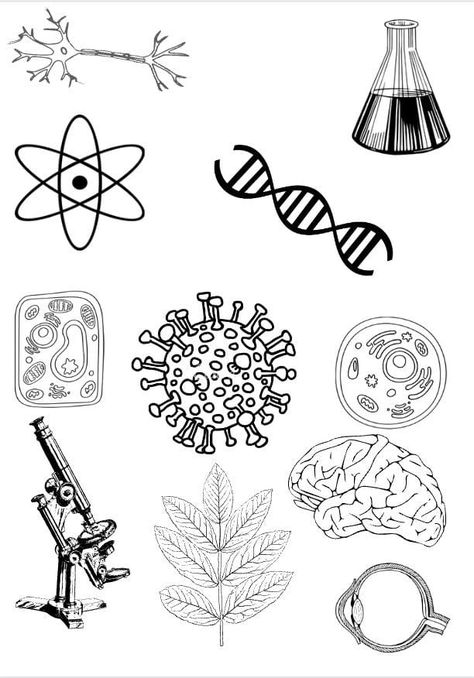 Cell Biology, Biology, Birthday Cake, Collage, Cake, Birthday, Pins, Quick Saves