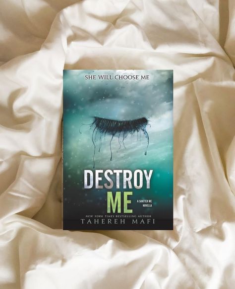 Destroy Me Book Cover, Destroy Me Book, February Aesthetic, Destroy Me, 2024 Books, Bookshelf Inspiration, Contemporary Novels, Book Cover Page, Book Wishlist