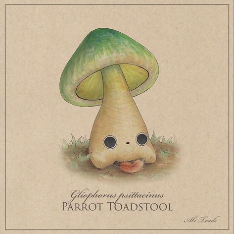 Abi Toads, Cartoon Realism, Mushroom Pins, Mystical Creatures Mythology, Mushroom Wallpaper, Mushroom Drawing, Abstract Watercolor Art, Frog Art, Creature Drawings